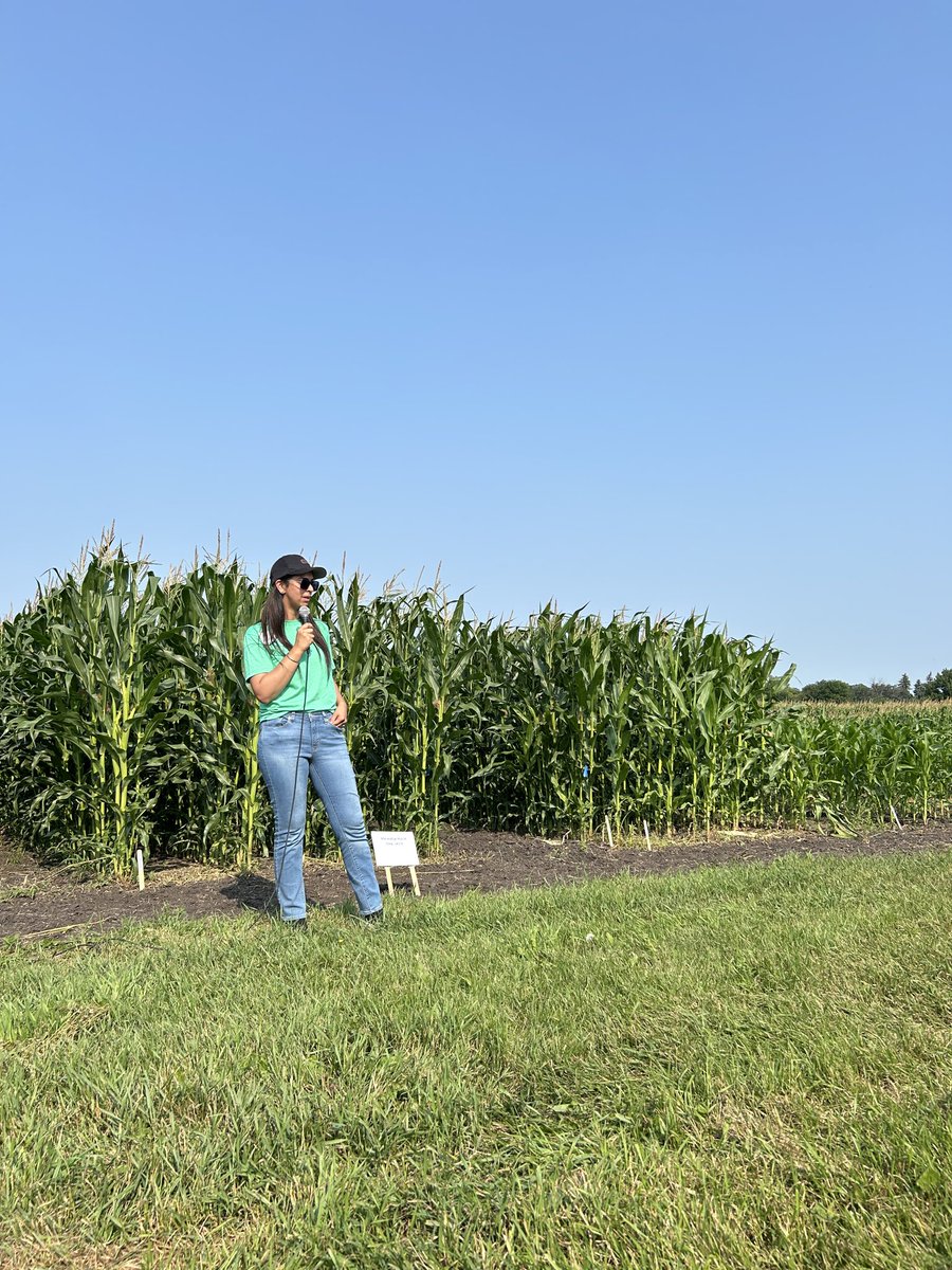 kpmacmillanUM's tweet photo. Dr. Loveleen Dhillon sharing her corn agronomy work on seeding dates and nitrogen fertility @LoveleenKaur024 https://t.co/cHGuuOzQsb