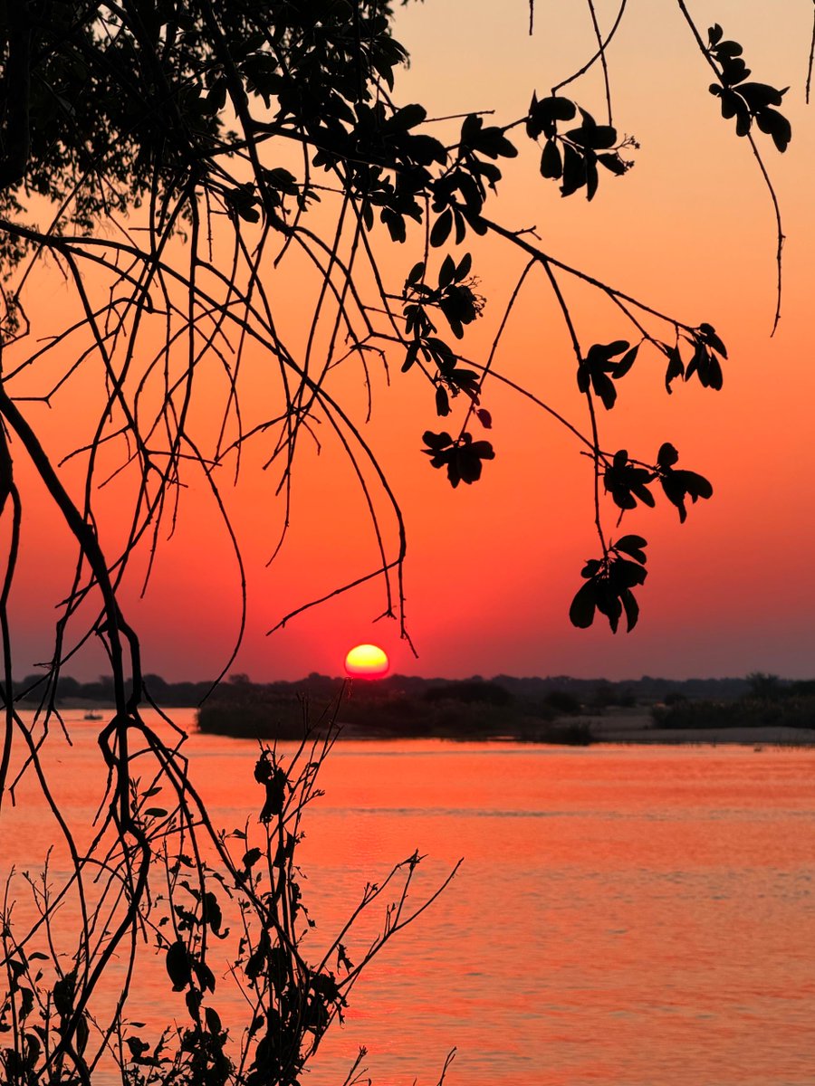 GondwanaLodges's tweet photo. Golden skies, peaceful waters, and unforgettable moments along the Zambezi River.🌅 Zambezi Mubala Lodge📍 https://t.co/WPdOxgaRtP
📸: Rochai
#ZambeziMubalaLodge #ZambeziRiver #VisitNamibia #DiscoverNamibia #NamibiaTravel #AfricanSunsets #ExploreNamibia #TravelAfrica #NatureEscape