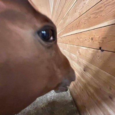 Yuskea03's tweet photo. @ssjnoodles 'Reviewing' energy drinks isn't just an excuse to feed your caffeine addiction right https://t.co/ddPunHHrlG