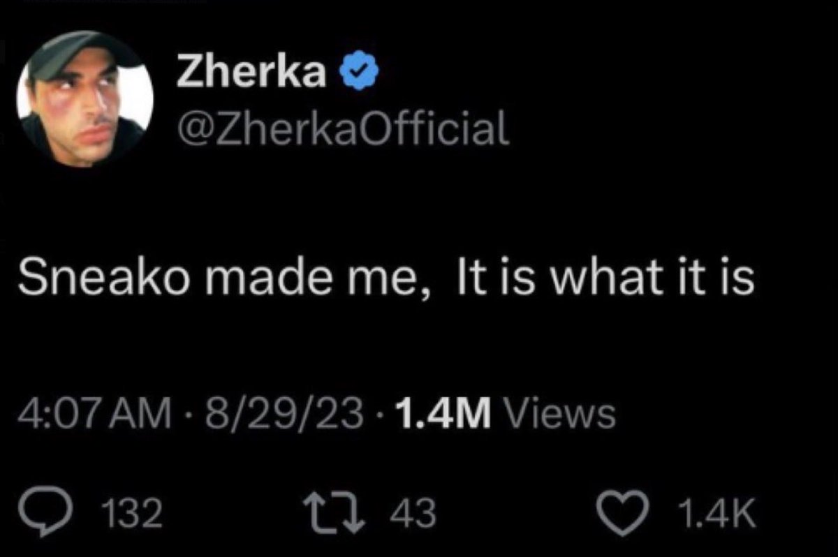 SNEAKO ALT tweet media