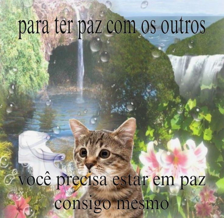 Clareza Mental tweet media
