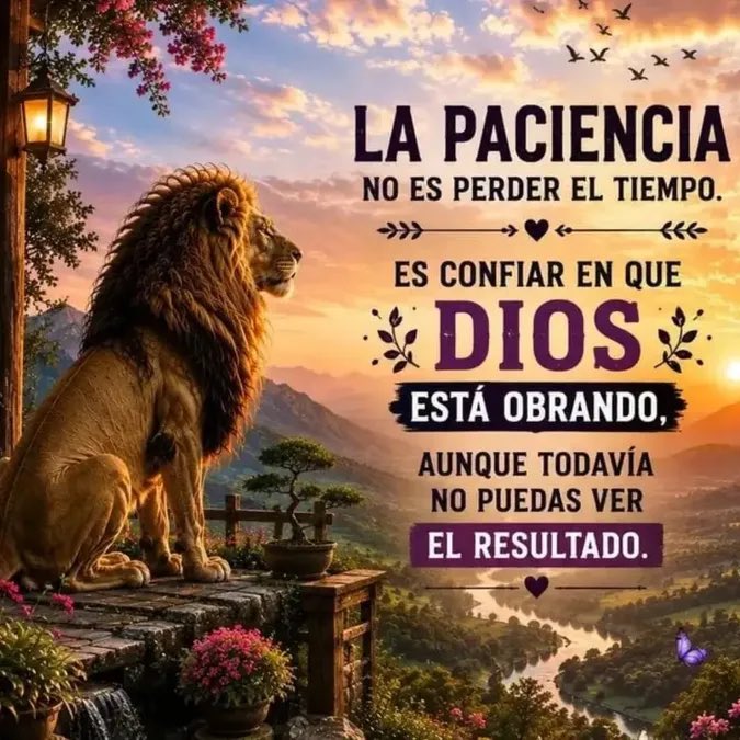 LQuino47372's tweet photo. https://t.co/Puqa2Rpwbl