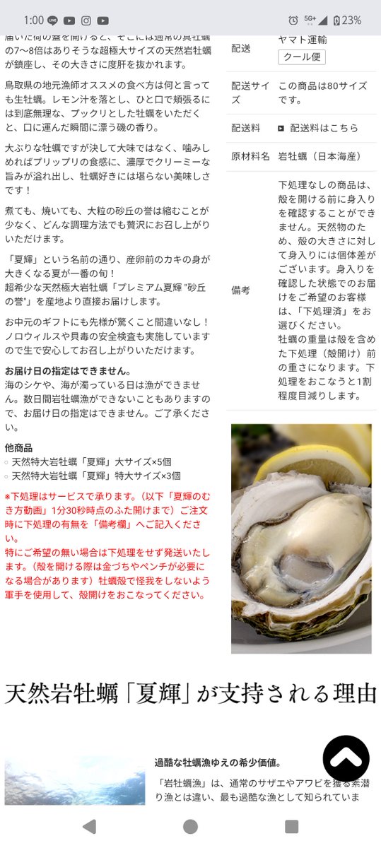 CirrusCooking's tweet photo. あじたびと言うサイトで鳥取のブランド岩牡蠣夏輝の中でも1kgオーバーの砂丘の誉という更に上のランク(1個5000円)の物を購入。どれだけ立派な岩牡蠣かと楽しみに開けてみたらコレ。2つ頼んで中身2つとも50g程度…中身確認できないとは書いてたけどさすがに2つともこんなんだと夏輝がショボいのか、 https://t.co/t1ODvqF6Nk