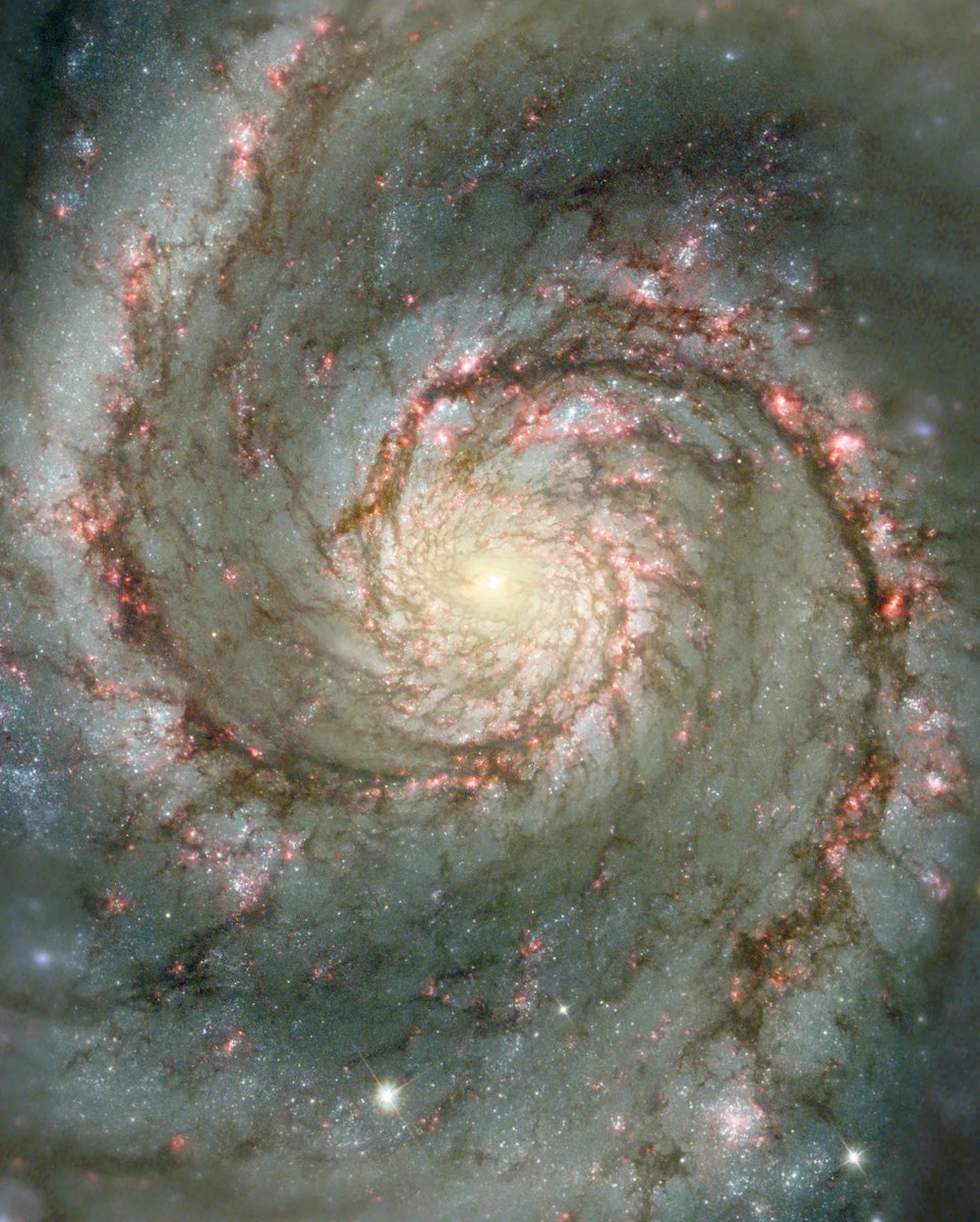 sarahsalviander's tweet photo. Just your periodic reminder that God combined mathematics and art to make the universe stunning. https://t.co/sz2i0SvfXA