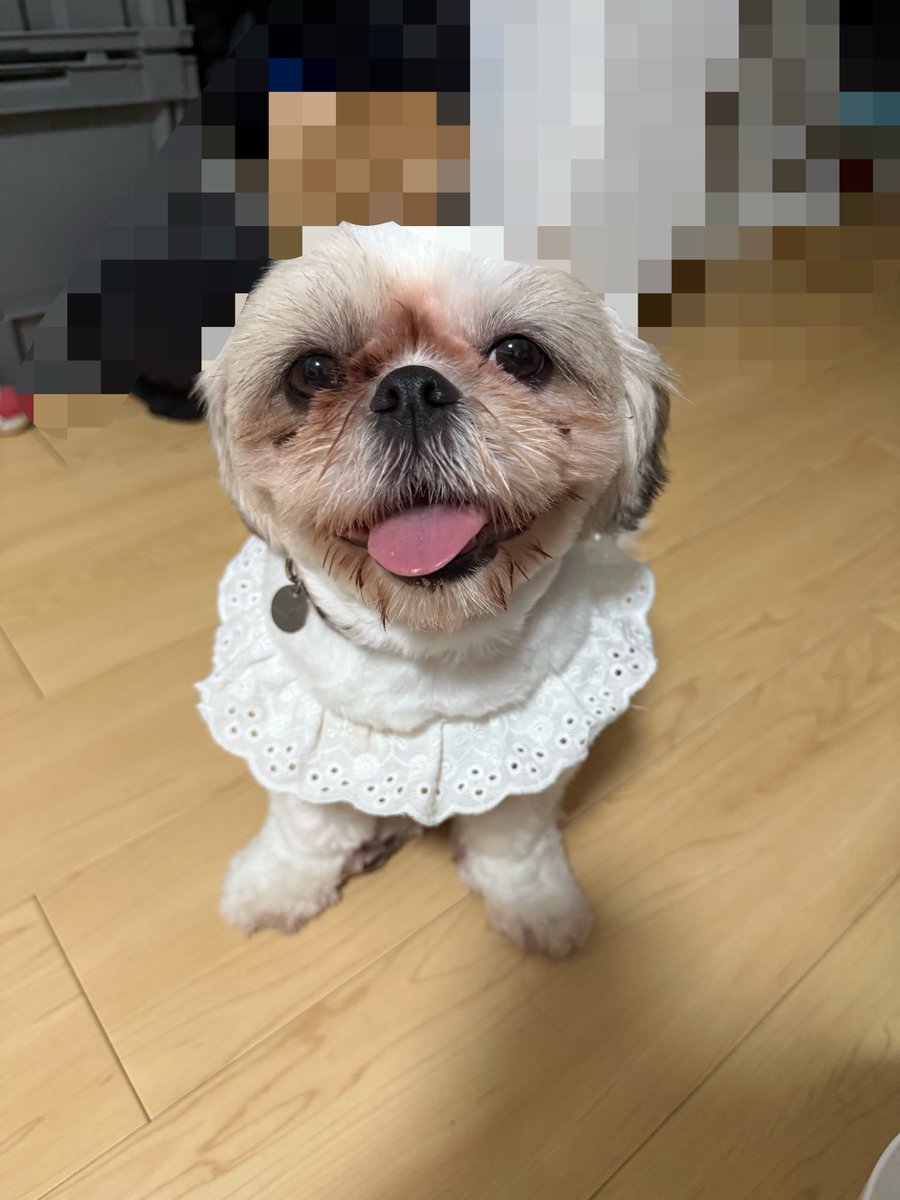 mekamarin's tweet photo. この時間でも湿気かなんかであちーな！うんこしてニンマリシティ https://t.co/aYAwvnyl8P