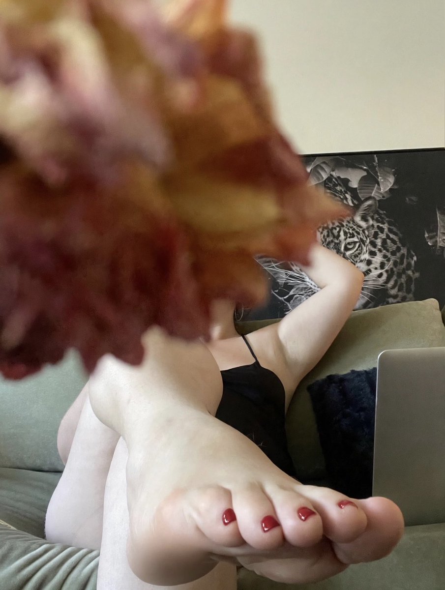 GoddessxGia's tweet photo. Kiss my feet and send me money 
#footworship #sensualfeet #sexyfeet #footfetish #footcontent #toepolish #feetfinder #paypig #whalesub #paypiggy #sexytoes #walletdrain #findom #feetworship #goddessworship #feetrequest https://t.co/iuxuvdR3ZZ