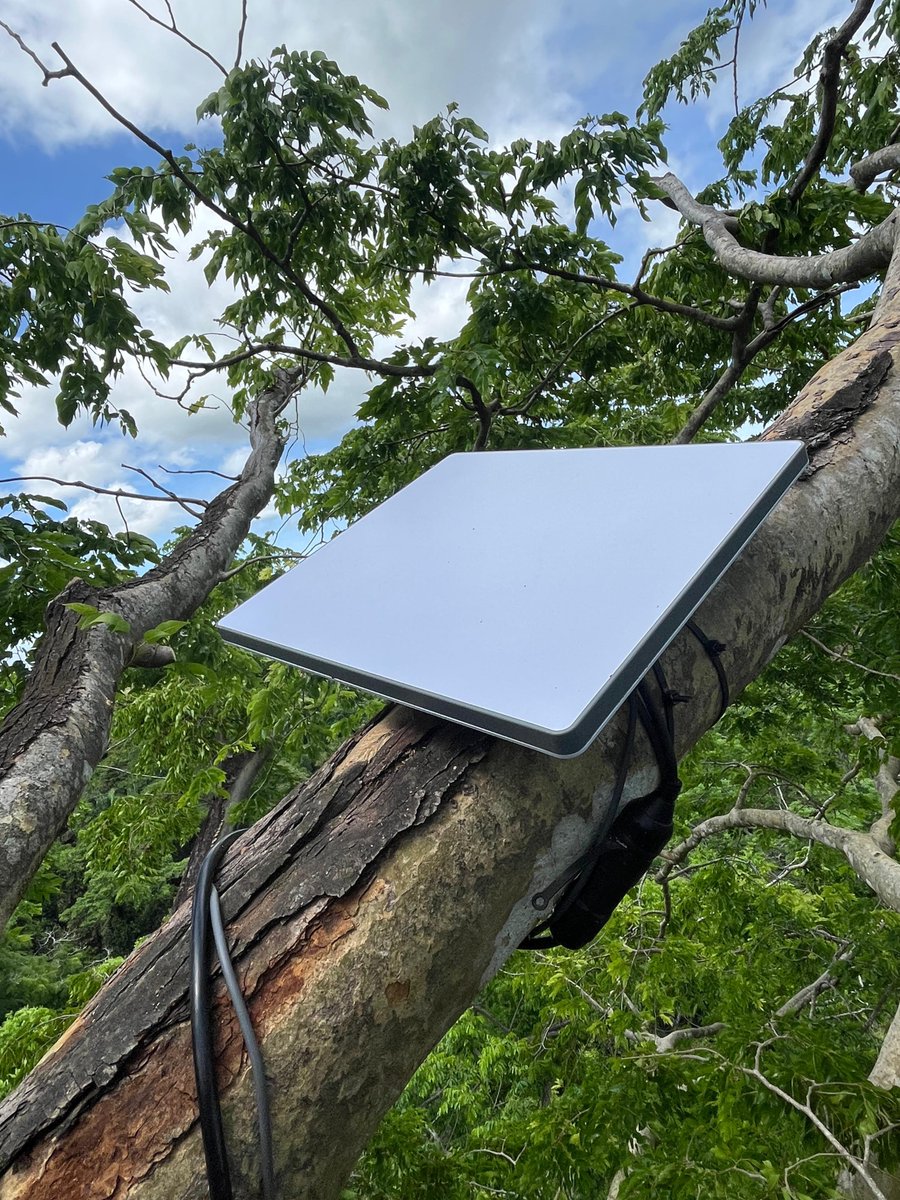 Starlink's tweet photo. Starlink is providing connectivity to Project SPARROW, which is helping scientists protect biodiversity and discover new animal behaviors in remote parts of Colombia. 

Previously, recordings took thousands of hours to review, and now, researchers can access AI-powered data to quickly analyze insights 🛰️❤️