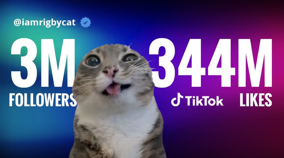 saint_jawn_'s tweet photo. @RigbyOGSol @json1444 @a1lon9 this cat is kinda popular i guess. solana:FCR5PjritfaxoYwwDzrYybCKoN3pJDjQ6gNcsymkpump https://t.co/93KX1rup1v