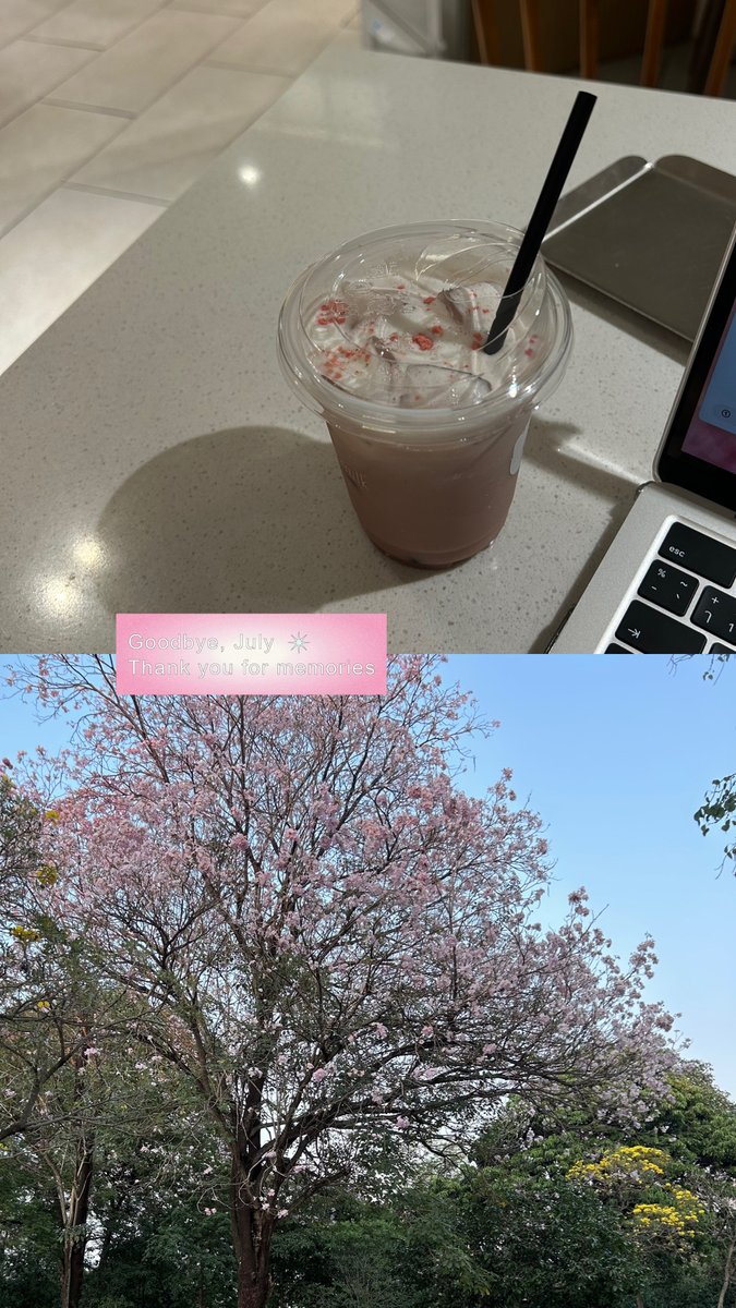 sweetsprinkl3s's tweet photo. decorative pieces for July Dump 🌸˚₊·
feel free to use it personally on ur insta!
png, here 👇🏻
https://t.co/E4moQTM5Ve
– #July #JulyDump #monthly #png https://t.co/mSBMntgCL1