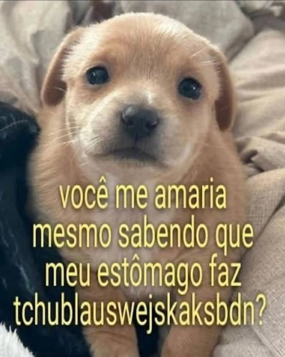 acervodoguinhos's tweet photo. https://t.co/u3ja6i2kgL