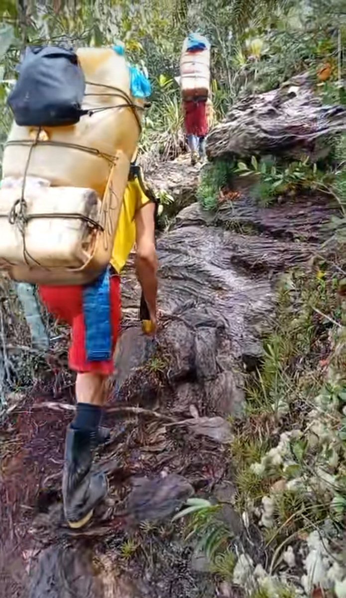 Fritz_A_Sanchez's tweet photo. #Alerta #Venezuela 

¿Reactivaron la actividad aurífera ilegal en la cumbre de tepui en #Amazonas ? 

¡ Vuelve a evidenciarse el traslado de combustible a la cima del Yapacana ! 

Atención @CEOFANBVE Debe detenerse toda actividad extractivista dentro del Parque Nacional Yapacana https://t.co/TLjd7pTTDT
