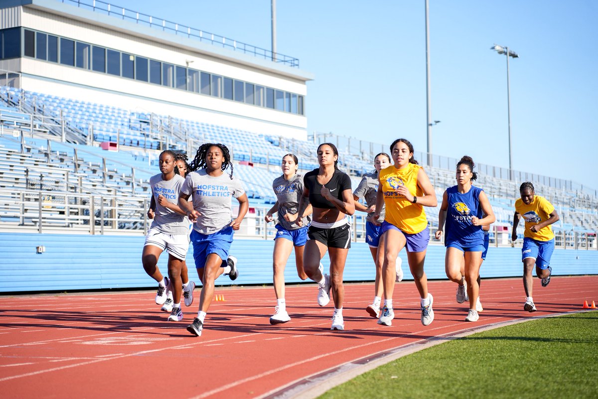 HofstraWBB's tweet photo. Growth with every step 📈

#PrideOfLI https://t.co/rsODZKXBKG