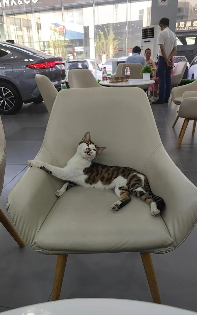 LuciusIsgueiz's tweet photo. 晚饭后和爸妈窝在沙发上拆刚到的快递，橘猫蜷在我腿边，遥控器还在争夺中，这就是最踏实的小幸福～， https://t.co/mLiDhUgZyt