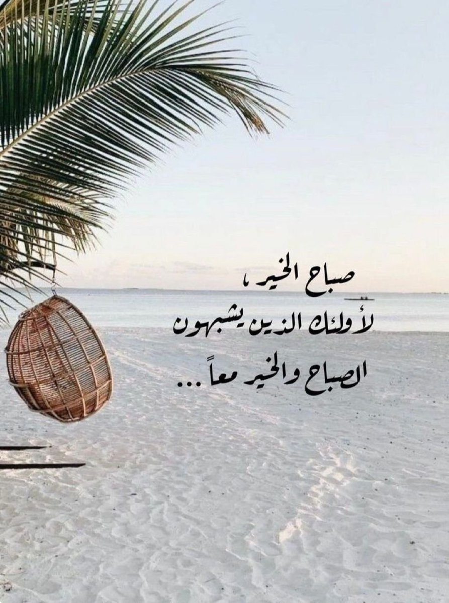 أبو سالم tweet media