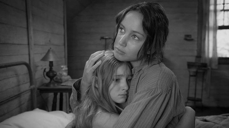 luneartt's tweet photo. when people say prim's death wasn't impactful enough but that's the point. because in war, people's lives become just numbers, and their individual deaths impact no one except those who love them. everything katniss did was for her and in the end, she was gone just like that. https://t.co/zPQlEgptoD