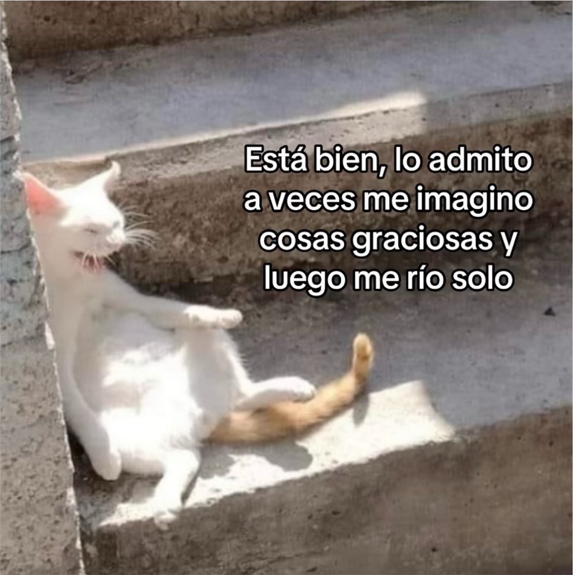 skereunpesado's tweet photo. https://t.co/z5Pm0mLlcd