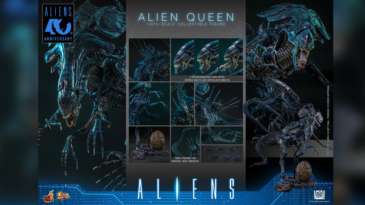 FunkoPopHunters's tweet photo. New Hot Toys SDCC exclusives now available to preorder! #hottoys #sdcc #ad
► https://t.co/NcN0erETaI

Joker ► https://t.co/stfgFDeIea
Hulk ► https://t.co/uDiETyU8Pd
Alien Queen ► https://t.co/2No6P304Hs
Spiderman ► https://t.co/1hWMPQE08g
Sam ► https://t.co/gR9ZAsfn67 https://t.co/d6hAA9kBvf