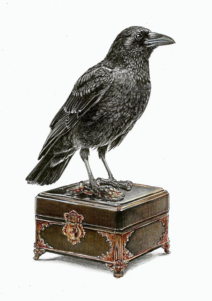 AtelierGeeraets's tweet photo. Tekening gemaakt. Het is een kraai op een kistje. 

‘Een kostbaar bezit’
29,7 x 21 cm
Inkten op papier 

Delen is lief. https://t.co/4Wwq5cLBNj
