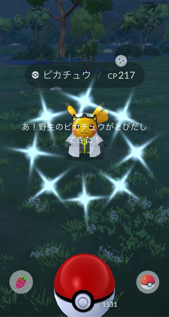 ポム 🌷🍎 tweet media