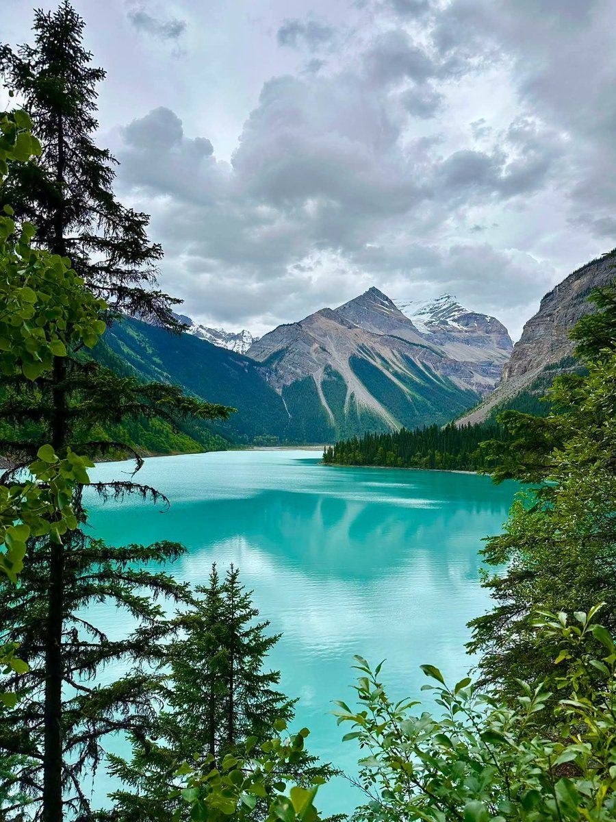 Beautifulpvmys's tweet photo. 📍Kinney Lake Trail – Mount Robson Provincial Park 🇨🇦 Canada 🇨🇦 https://t.co/dgFsSrVvad