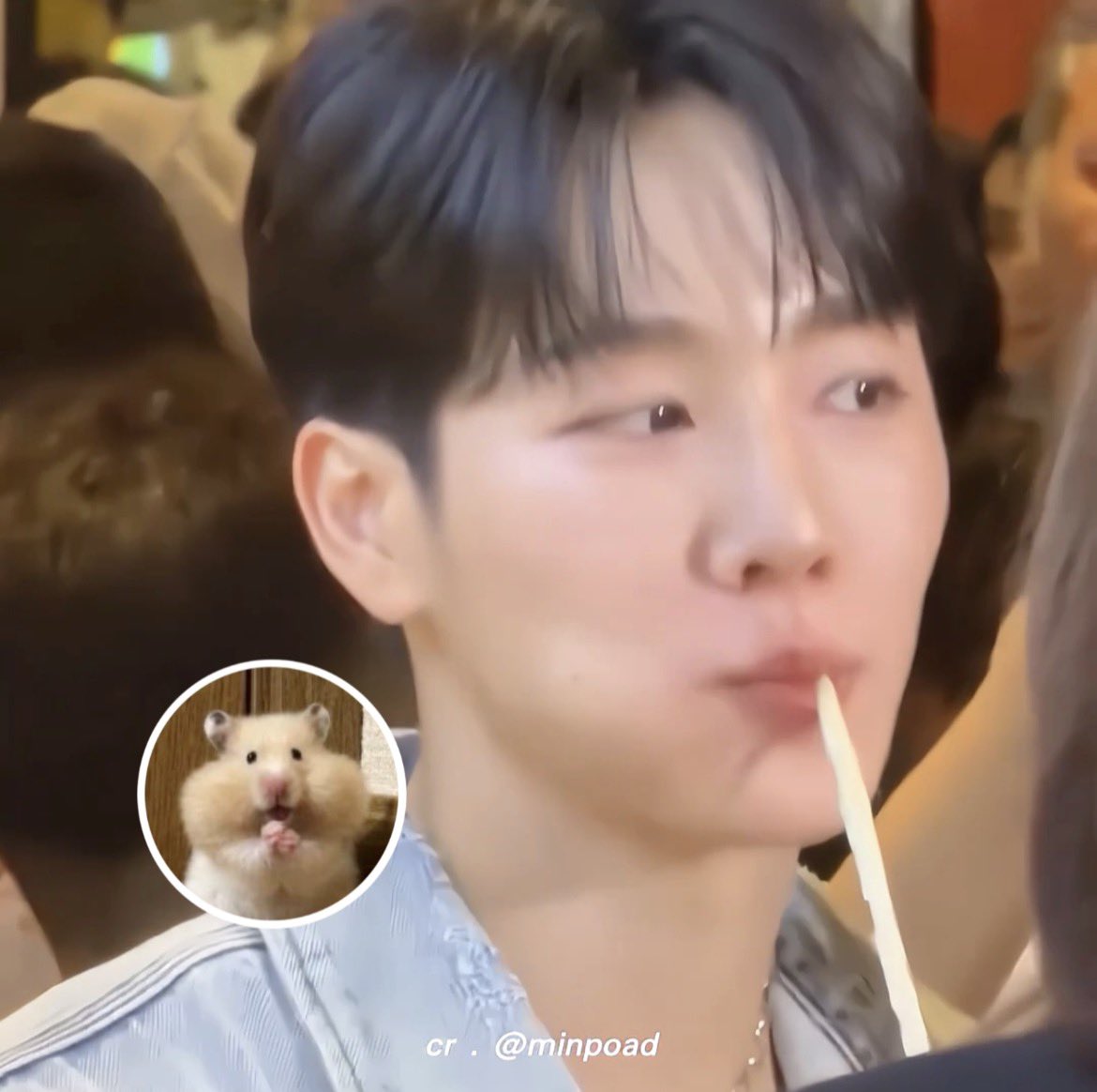 bimqaaaa's tweet photo. กินคนเดียวม่ายแบ่งใคร 🐹 * https://t.co/m28R5d10iZ