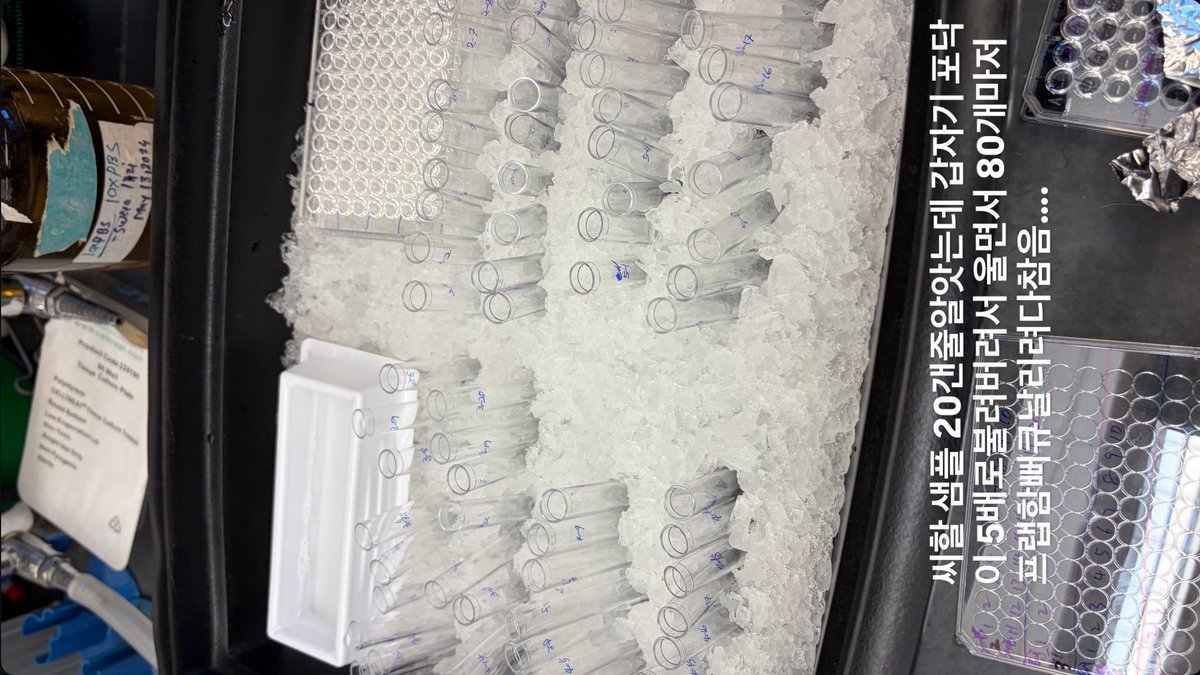 blxck_zip's tweet photo. Netflix and chill?
ㄴ No bro..
     Lab and cry https://t.co/yQ1eMxdOG1