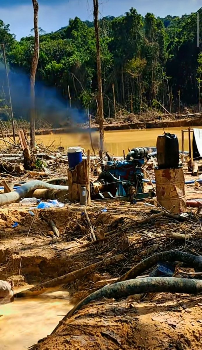 Fritz_A_Sanchez's tweet photo. #Atencion #Venezuela 

Se incrementa el extractivismo aurífero ilegal en el sector 8 Wonken #GranSabana gracias al constante suministro de combustible y el progresivo avance de la #CulturaMinera en pueblos y comunidades indígenas 

#SurDelOrinoco 
Daño Ambiental &amp; Antropológico https://t.co/XidgpOuBoa