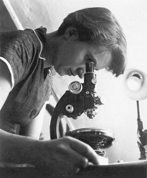 Science_TechTV's tweet photo. “Life is a one-way street. I do not wish to waste any of it.” 

- Rosalind Franklin https://t.co/BWoLmGOlZw