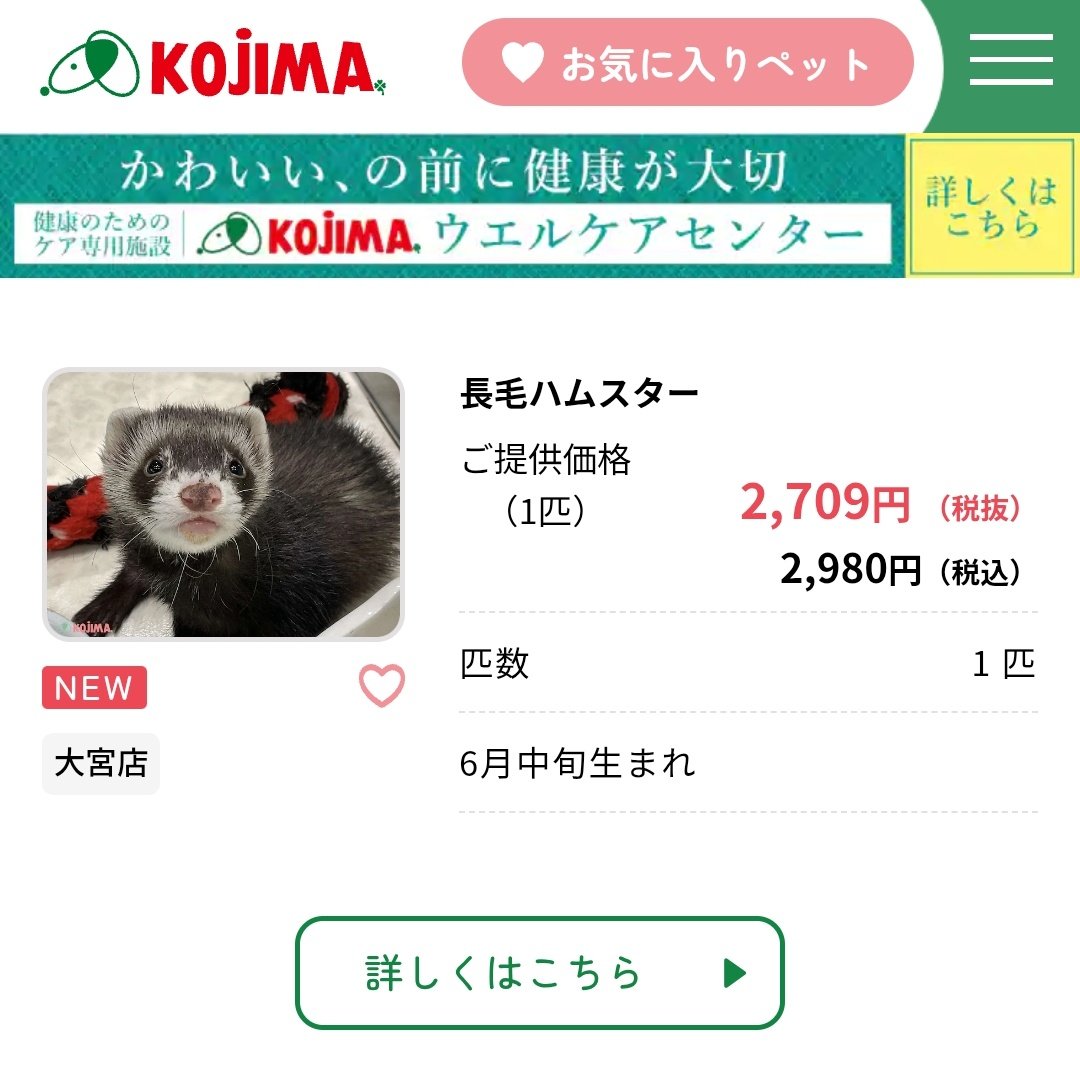 hamu_koga's tweet photo. コジマさんのハムちゃん見るのが日課なんだけど
長毛でもハムでもないのいてひっくり返った https://t.co/HC8dYtNKSb