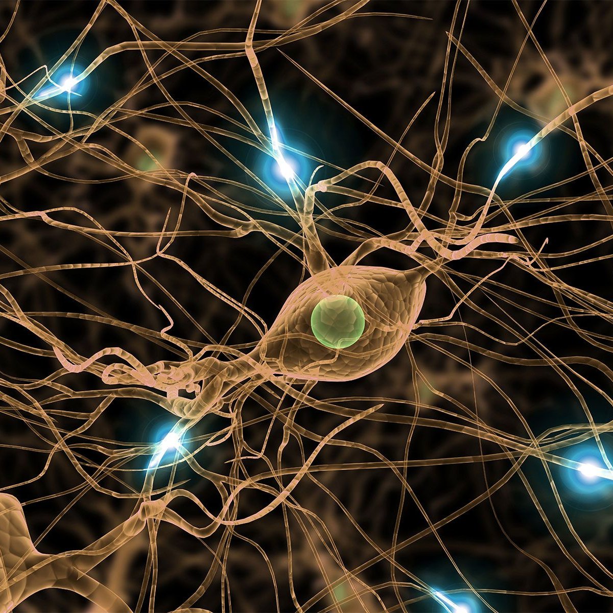 AMAZlNGNATURE's tweet photo. New study suggests humans could theoretically live up to 156 years

Researchers say the estimate comes from studying how DNA mutations build up over time, which may help explain the limits of human lifespan https://t.co/A4kWQbBRoP