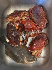Cadan64709's tweet photo. The freshest crab and grilled fish taste https://t.co/BaB3Zb2Upf