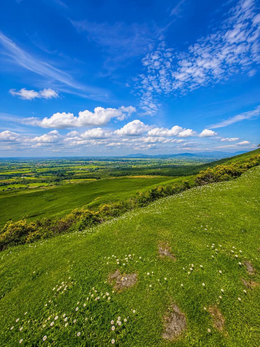 ThisIsIreland3's tweet photo. "The Golden Vale" 🏞️💚

Rolling green fields, as far as the eye can see 💚 Quintessential Ireland ☘️

📍County Tipperary-Éire 🇮🇪 

📸 Mad about Ireland

#Tipperary #Ireland #Goldenvale #Landscapes #Countryside #Green https://t.co/lpYYd7Wwpn