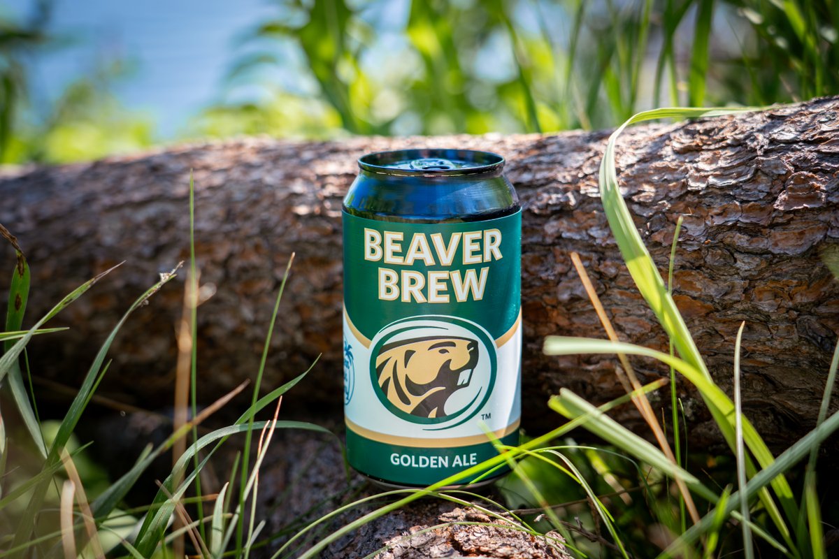 BSUBeavers's tweet photo. We're excited to partner with @So_Fresh_Farms in the release of Beaver Brew!

Try it this season at all home games for @BSUBeaversFB, @BSUBeaversWHKY and @BSUBeaversMHKY, as well as select locations around Bemidji!

#GoBeavers #BeaverTerritory @BemidjiStAlumni https://t.co/PJ0eLRTlNo
