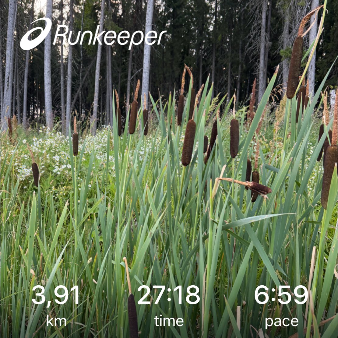 AnglyRun tweet picture
