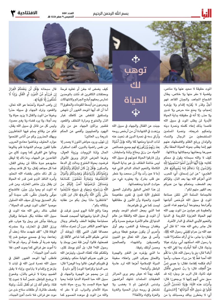 محمدن أيب أيب tweet media
