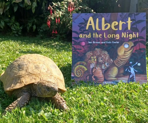 AlbertTortoise's tweet photo. Checking the cover of the latest picturebook #inspired by him, #ALBERTthetortoise up close with ALBERT AND THE LONG NIGHT. Our 10th #picturebook sees #Albert and the #garden gang stay up to investigate #night noises. Grab your copy. https://t.co/ifzLh573KF
#tortoise #bookseries https://t.co/8KxHDNiiXu