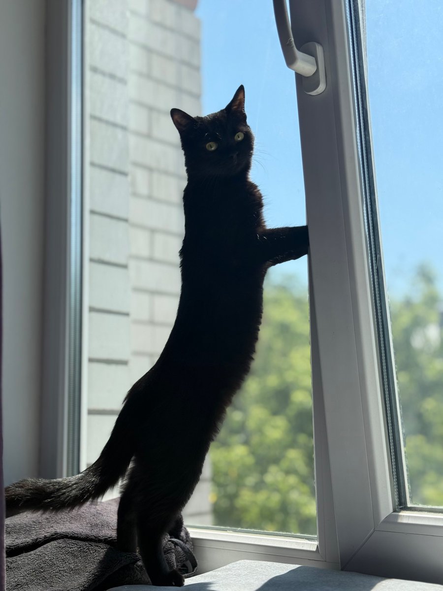 LONG