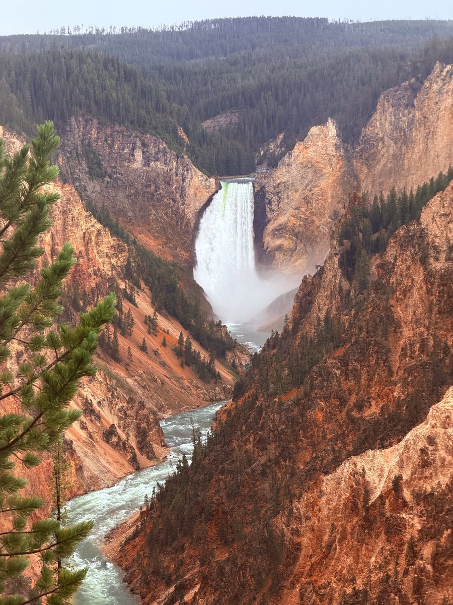 daltoosh's tweet photo. New life goal: Get an RV and rip every national park https://t.co/dV6psfGbFP