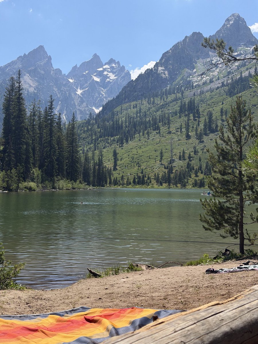 daltoosh's tweet photo. New life goal: Get an RV and rip every national park https://t.co/dV6psfGbFP