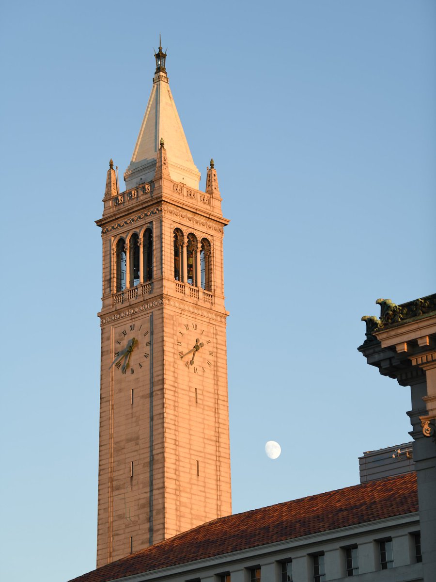 berkeleyinspire's tweet photo. Can you spot the Meccha Chameleons hiding in plain sight? ๐ซฃ
Photos by Keegan Houser and Ellie Sahand, UC Berkeley
#UCBerkeley #BerkeleyPOV #MyUCBerkeley https://t.co/fdzHoImQsG