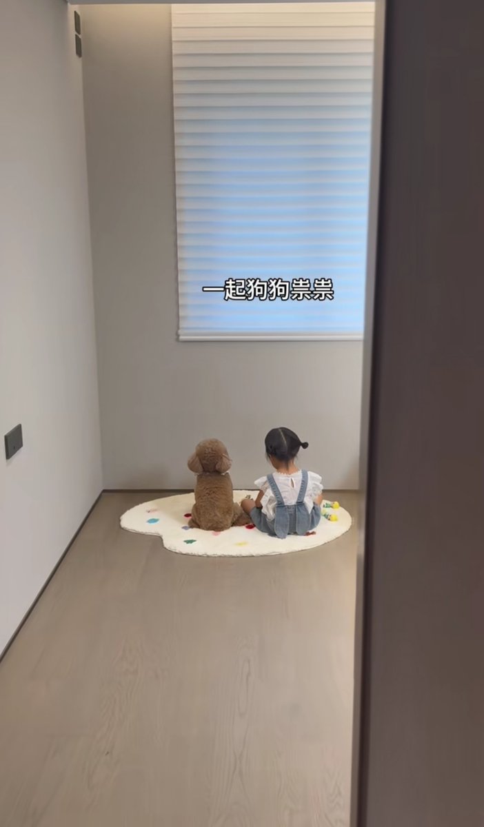 shindongsuk74's tweet photo. My little furball just hit 6 months old! Watching her go from a tiny wobbly pup zooming around the living room to a confident, playful buddy has been the sweetest journey—can’t wait for all the messy, joyful days ahead! https://t.co/P6XeuxZ7ZT