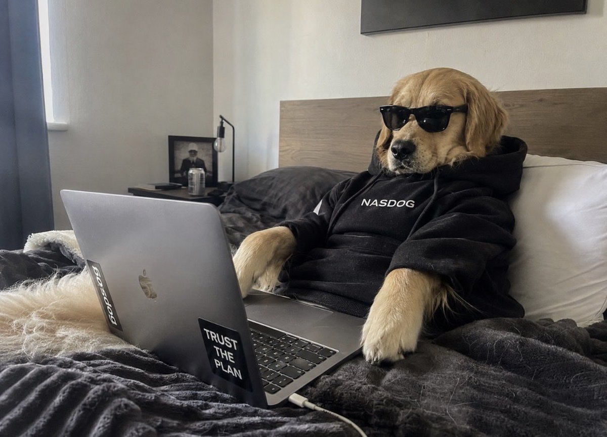 NasdogOnRH's tweet photo. 2026 is the Return of the Nasdog. https://t.co/jRsRLTkXfa