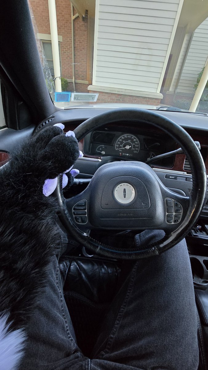 cj_6727's tweet photo. Queer and what they steer 🚗💨 https://t.co/PHvucRRjmD