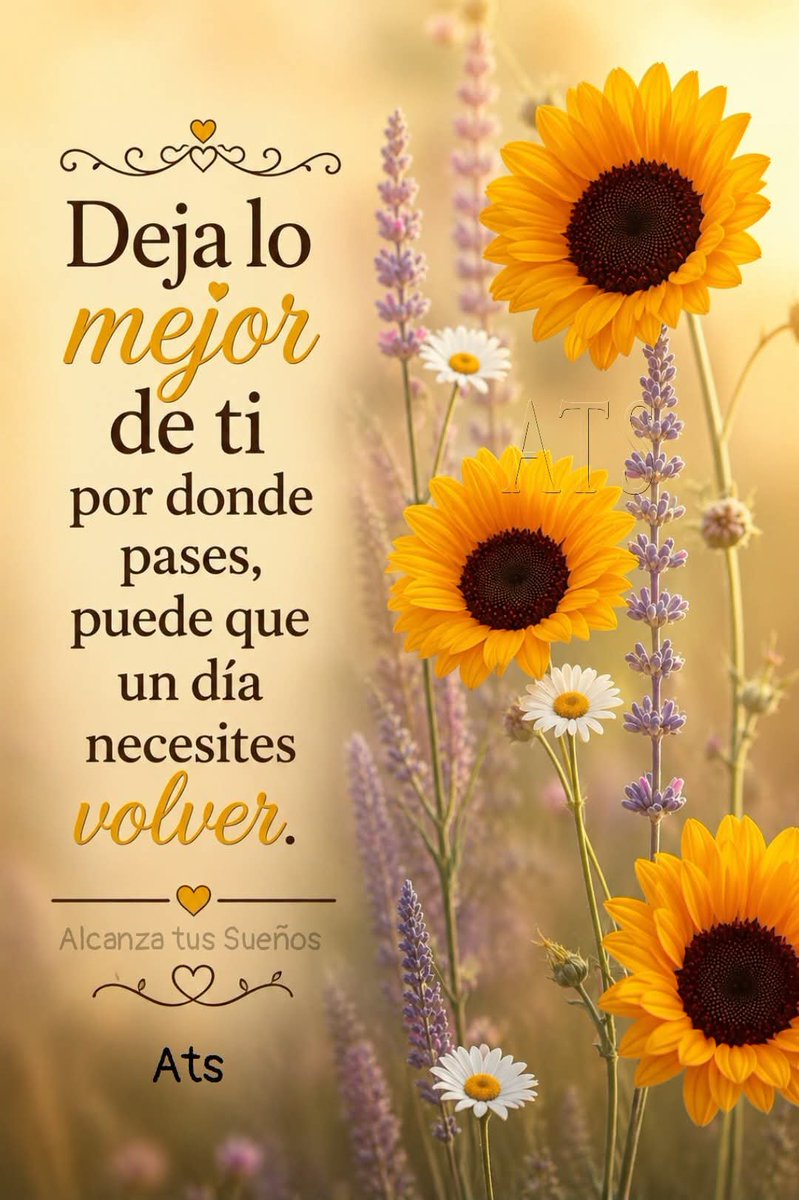 Gemaamiga's tweet photo. https://t.co/U0yJLPcHDj