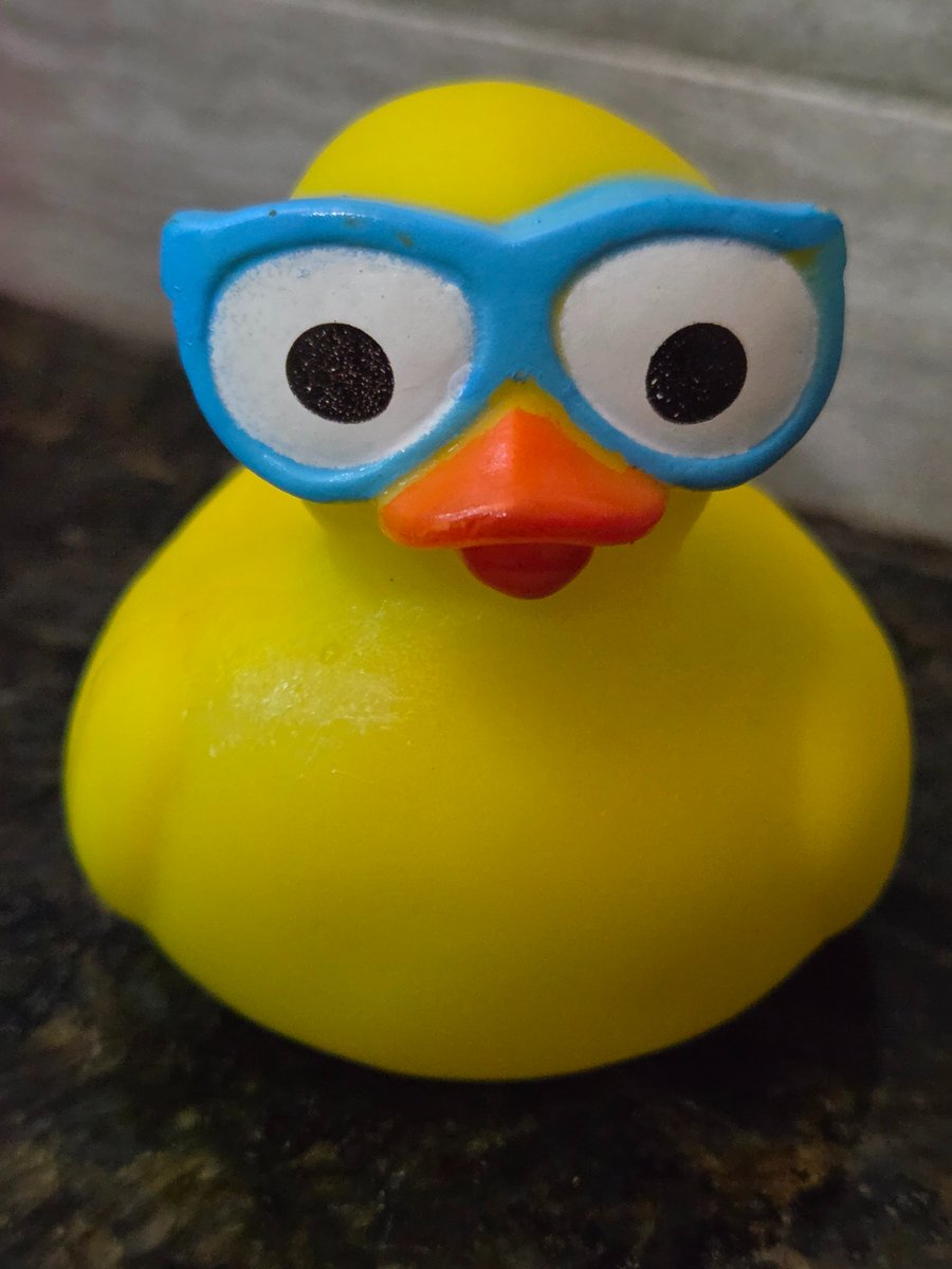 Deesillyone's tweet photo. GUYS I FOUND KAELIX!!! 

No wonder he can't stream, he's been a duck this whole time https://t.co/VMfJGmiGO0