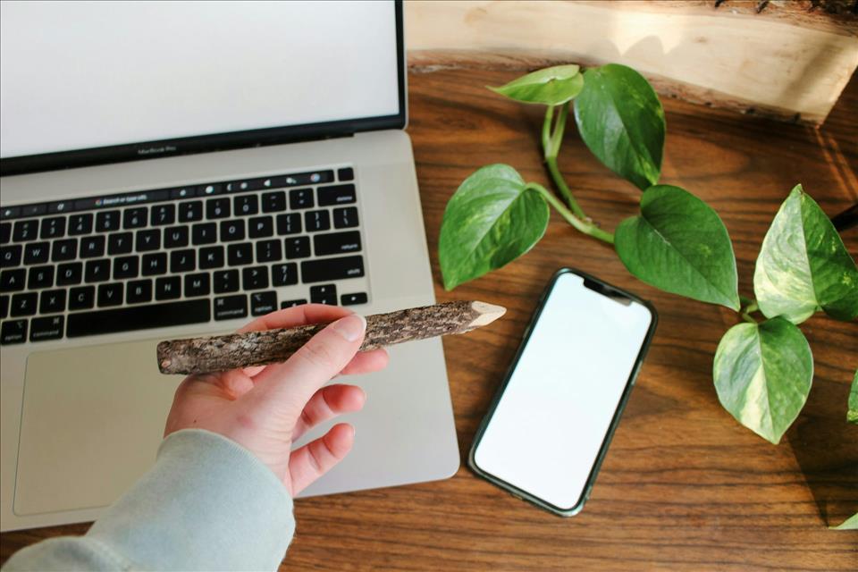 MENAFN's tweet photo. There's A Business Case For Companies To Embrace Sustainability If It's Pitched The Right Way #There's #Business #Case #Companies #Embrace #Sustainability #It's #Pitched #Right #USA #Russia #Biden #Ukraine #War #Palestine #Gaza #Israel # https://t.co/DwhsyUefpP https://t.co/mlhhVB0VjZ