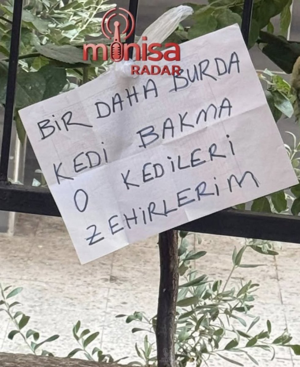 fırat tweet media