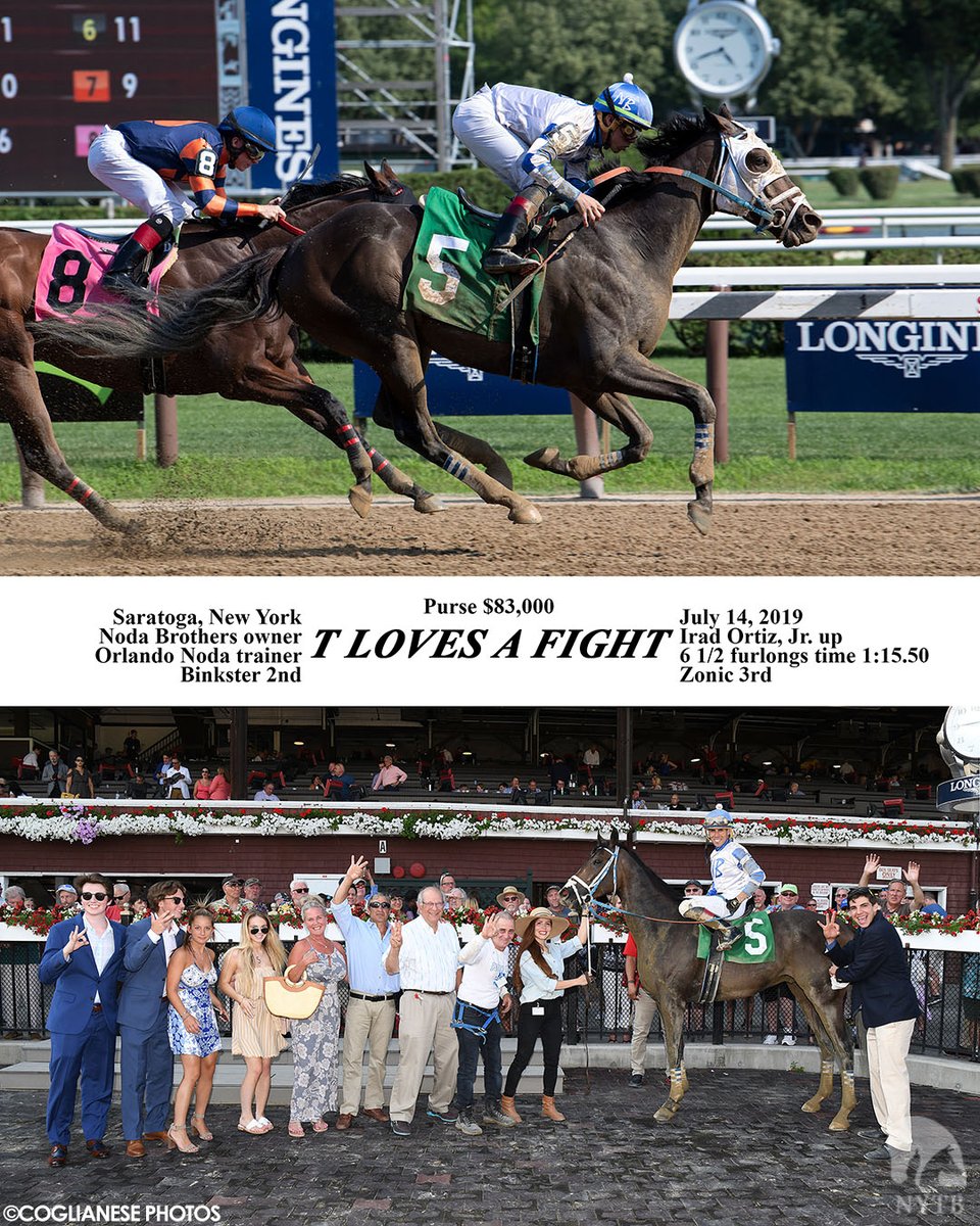 nytbreeders's tweet photo. T Loves a Fight picked up his biggest victory for breeder/owner Hoffman Thoroughbreds in the 2017 Mike Lee, but his biggest win may have been landing a forever home with @nodaracing. Meet the #NYbred fan favorite TOMORROW at #Saratoga! Details: https://t.co/O3rAkVA7mx https://t.co/uEnAy5Va34