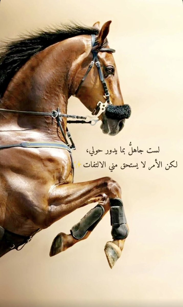 rssn2's tweet photo. الثقة بالنفس 
بحد ذاتها جمال . https://t.co/cRlWx4sQMZ