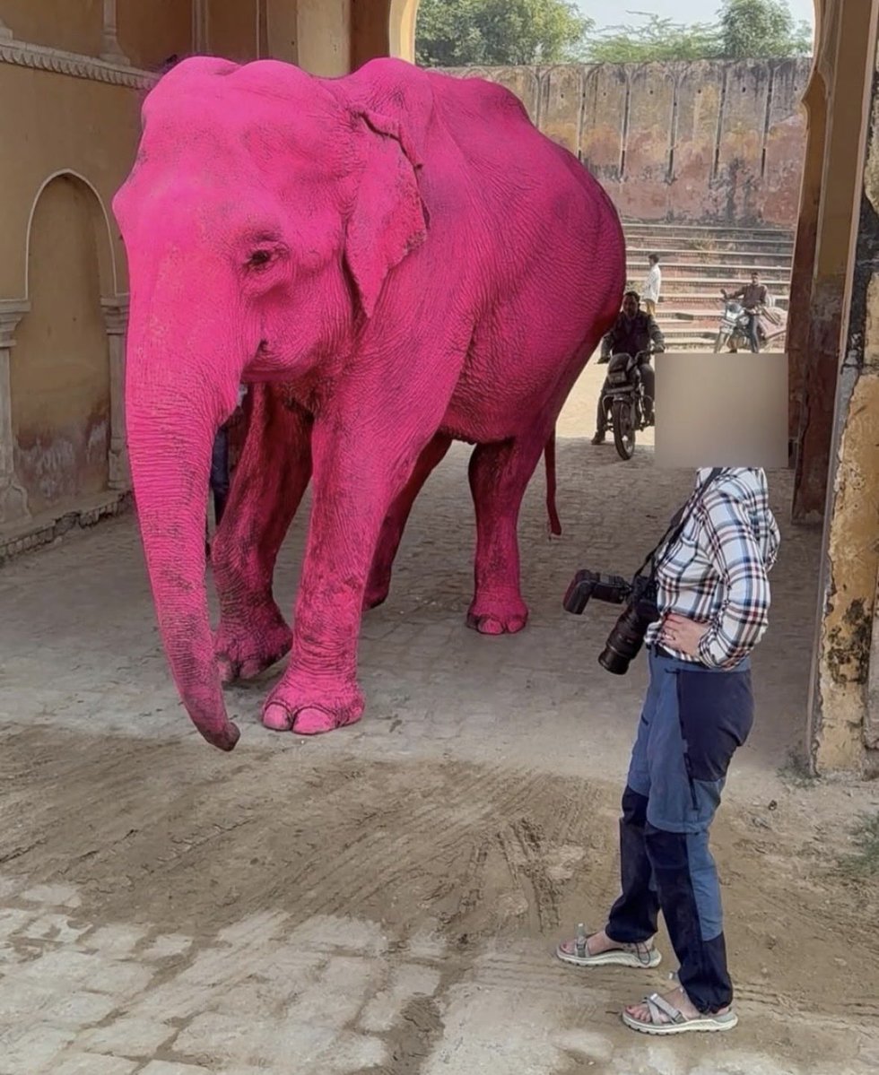Gabriel_Cas_Cer's tweet photo. Muerte de la elefanta Chanchal tras la sesión de fotos de Julia Buruleva en Jaipur, India.

Pierde la vida la elefanta Chanchal tras ser pintada de rosa para una sesión fotográfica en India
La elefanta de edad avanzada (en el rango de 65 a 70 años) perdió la vida en febrero de 2026, semanas después de ser utilizada en una polémica sesión en la India, donde una fotógrafa decidió pintarla completamente de rosa para lograr una imagen “artística”.
Aunque la autora aseguró que usó pintura “orgánica y segura”, la muerte de Chanchal desató una ola de indignación y abrió una investigación por posible maltrato.
El caso ha reavivado el debate sobre hasta dónde puede llegar el arte… cuando se trata de la vida de otros seres vivos.